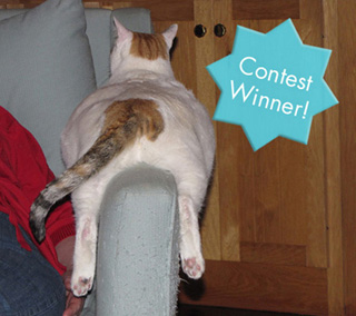 Merry winner